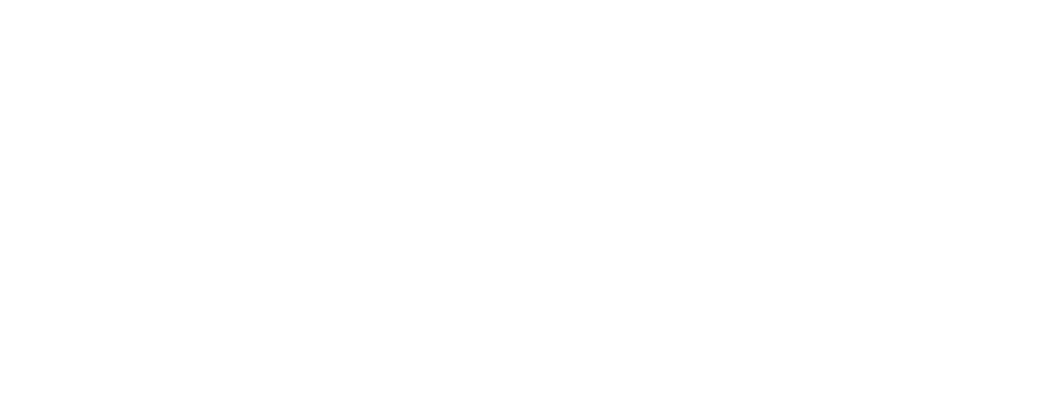 Silverfort logo