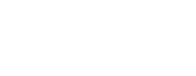 Silverfort logo